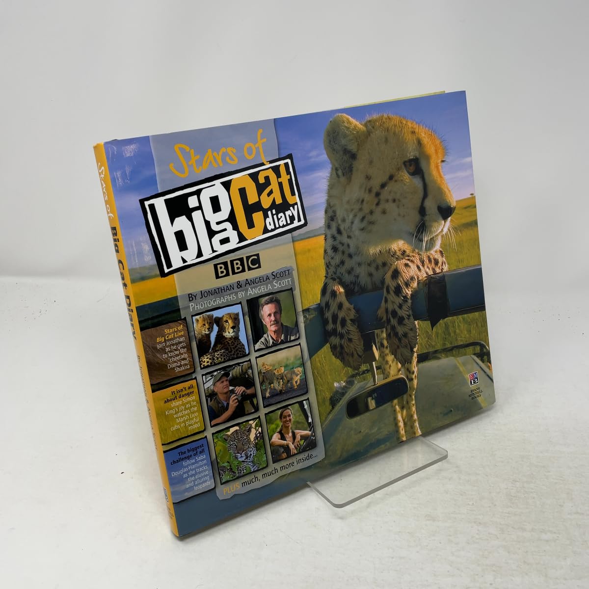 Stars of Big Cat Diary