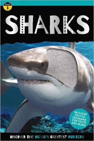 Sharks: sharks reader