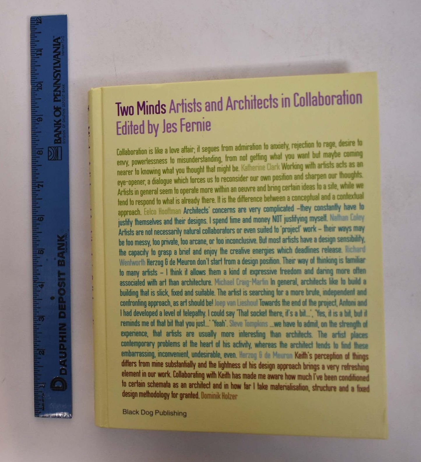 Two Minds: Artists And Architects in Collaboration