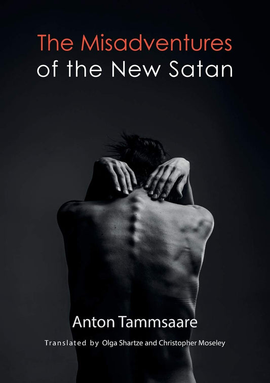 The Misadventures of the New Satan (B) - 9952