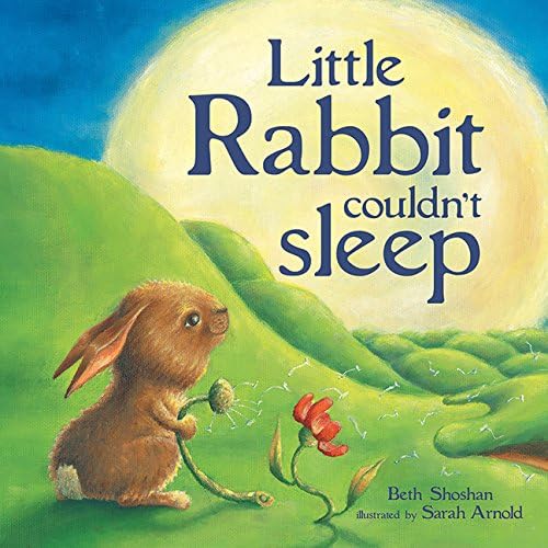 Little rabbit Couldn't Sleep
