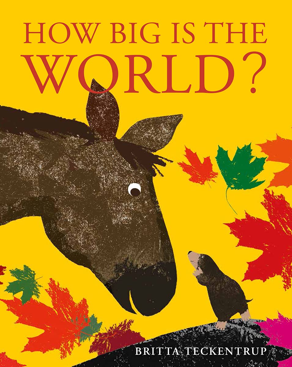 How Big Is the World?
