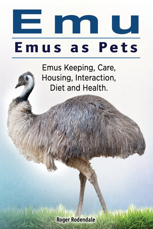 Emu. Emus as Pets. Emus Keeping, Care, Housing, Interaction, Diet and Health - 3658