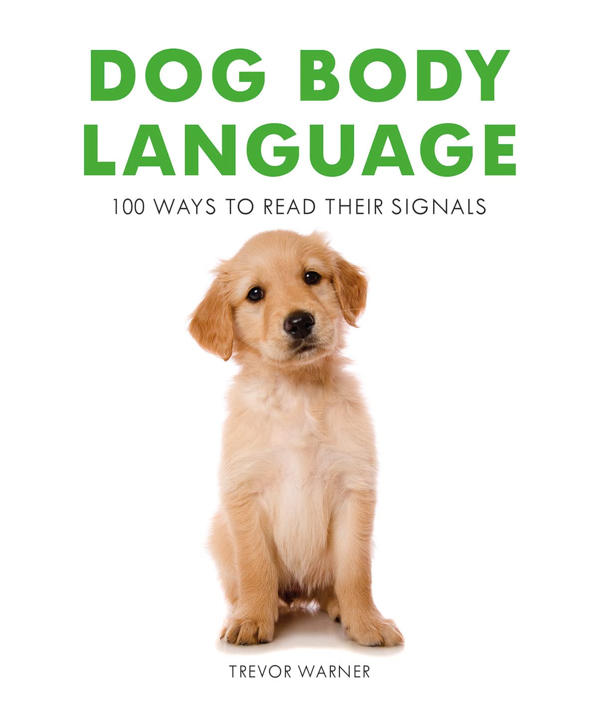 Dog Body Language: 100 Ways to Read Their Signals