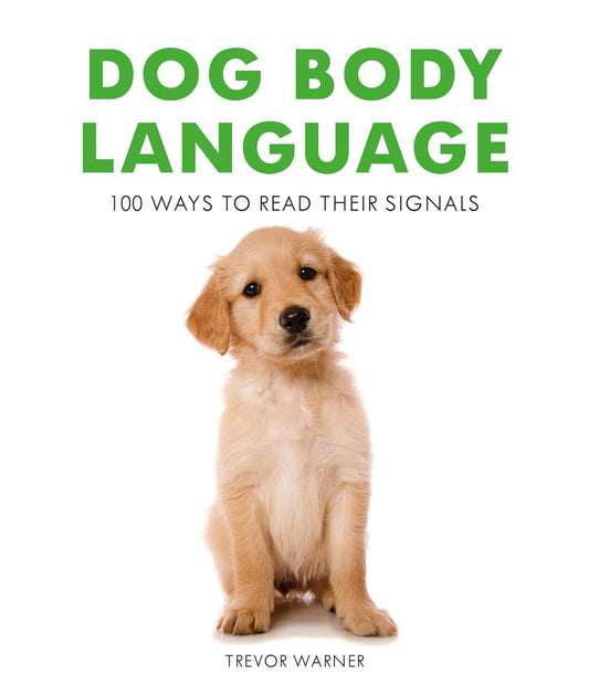 Dog Body Language: 100 Ways to Read Their Signals