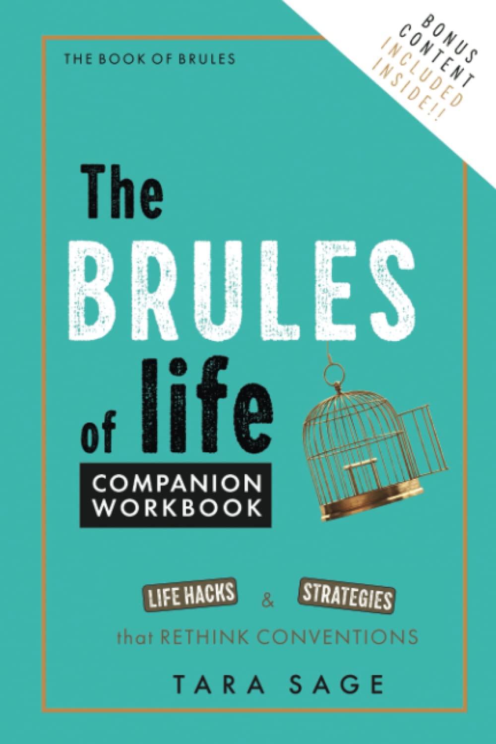 The Brules of Life Companion Workbook: Life Hacks & Strategies That Rethink Conventions