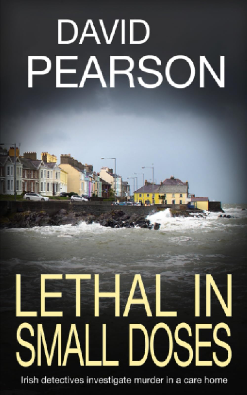 LETHAL IN SMALL DOSES: Irish detectives investigate murder in a care home (The Dublin Homicides)