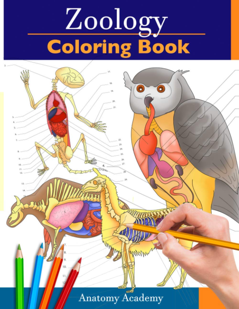 Zoology Coloring Book: Incredibly Detailed Self-Test Animal Anatomy Color workbook | Perfect Gift for Veterinary Students and Animal Lovers