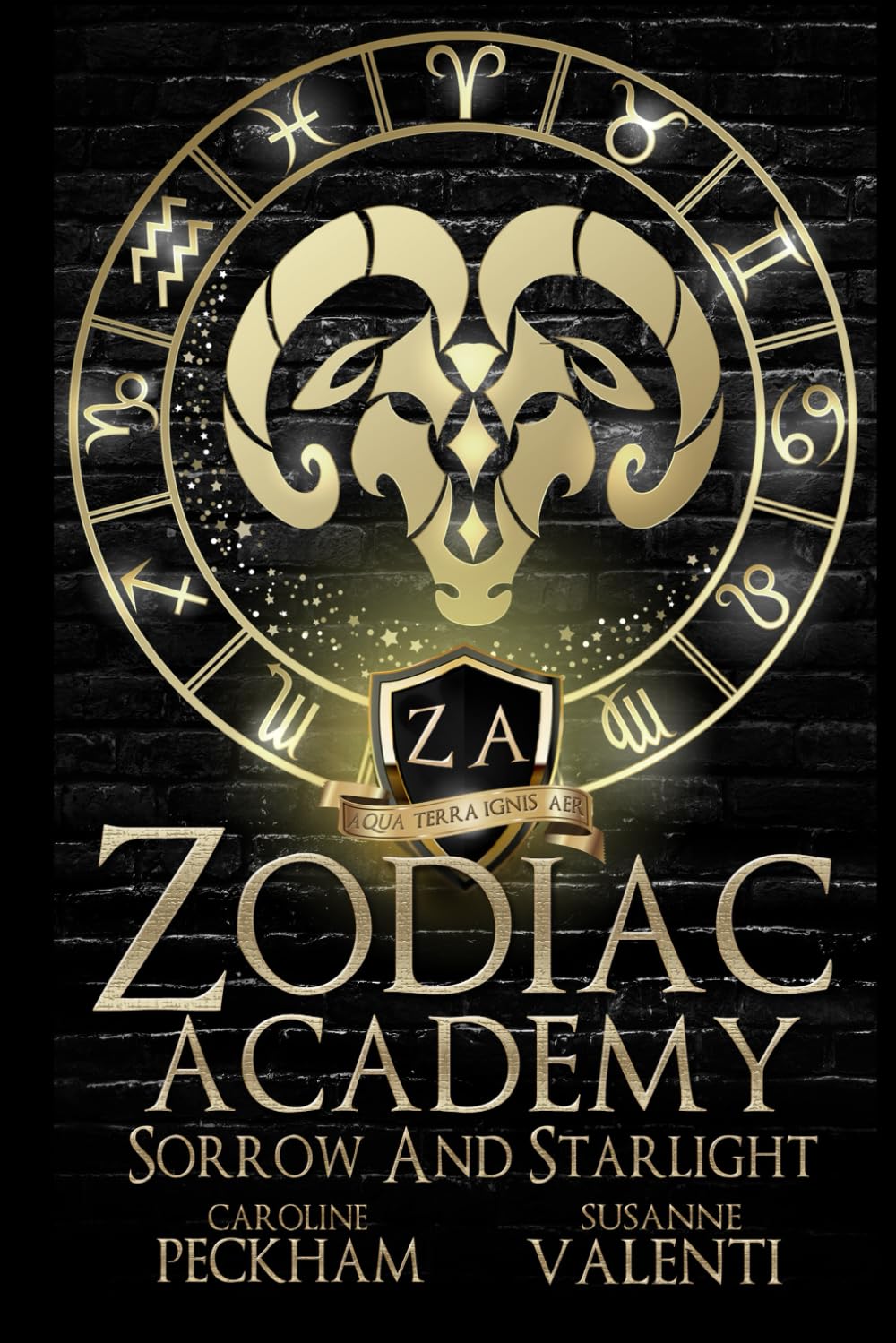 Zodiac Academy 8: Sorrow and Starlight: Matte Edition