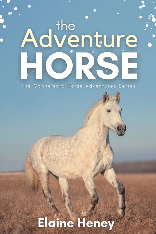 The Adventure Horse - Book 5 in the Connemara Horse Adventure Series for Kids | The Perfect Gift for Children age 8-12 (Connemara Adventures) - 8439