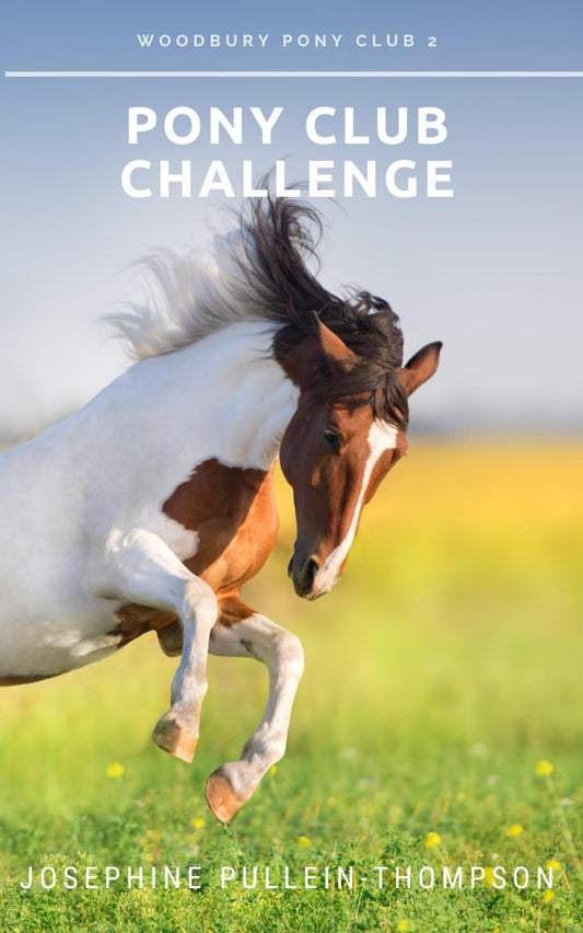 Pony Club Challenge (Woodbury Pony Club)
