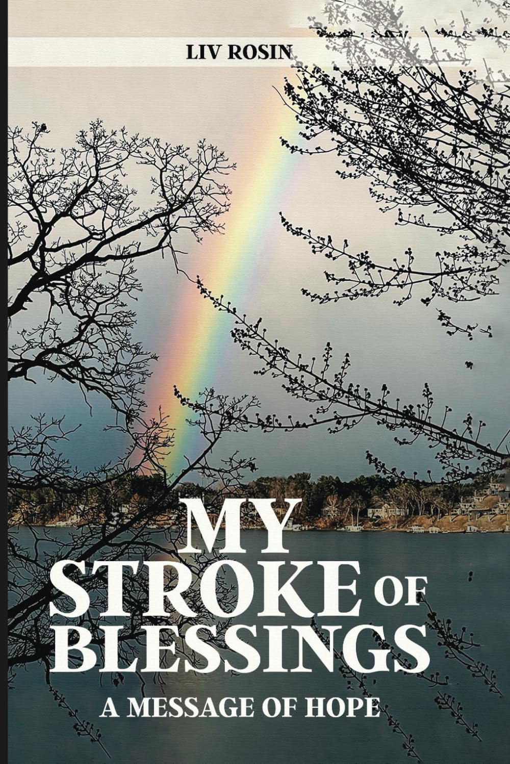 My Stroke of Blessings: A Message of Hope