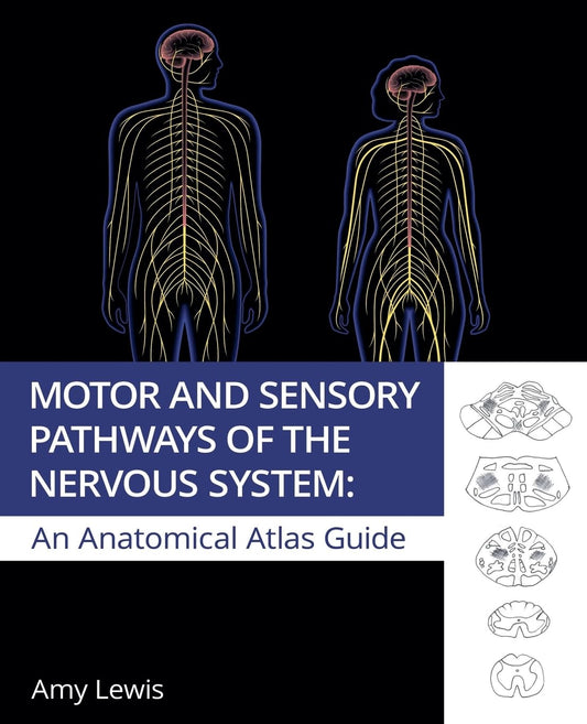 Motor And Sensory Pathways Of The Nervous System: An Anatomical Atlas Guide