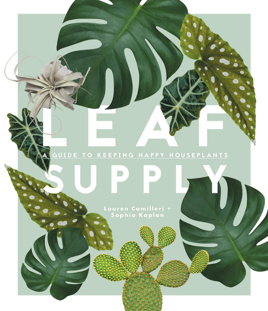 Leaf Supply: A Guide to Keeping Happy House Plants - 2690