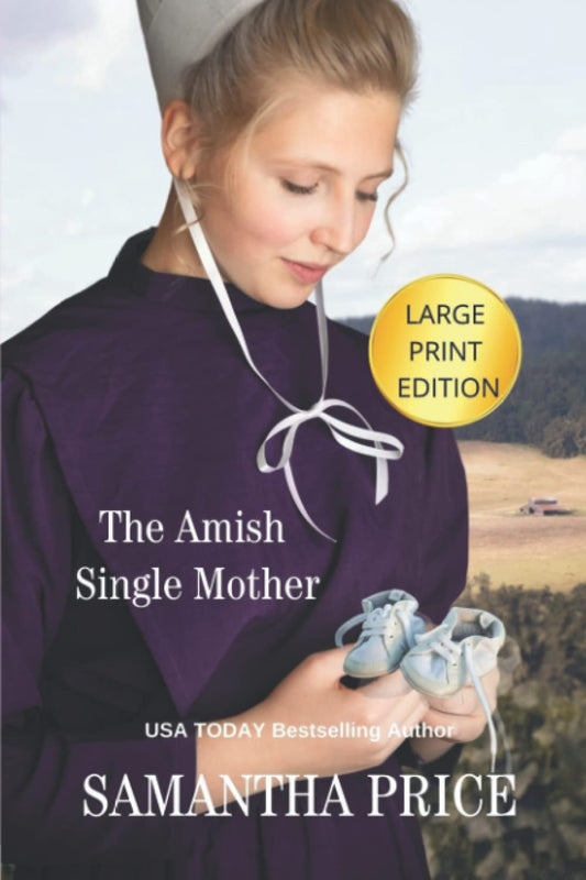 The Amish Single Mother LARGE PRINT (Amish Misfits - Large Print Editions) - 3961