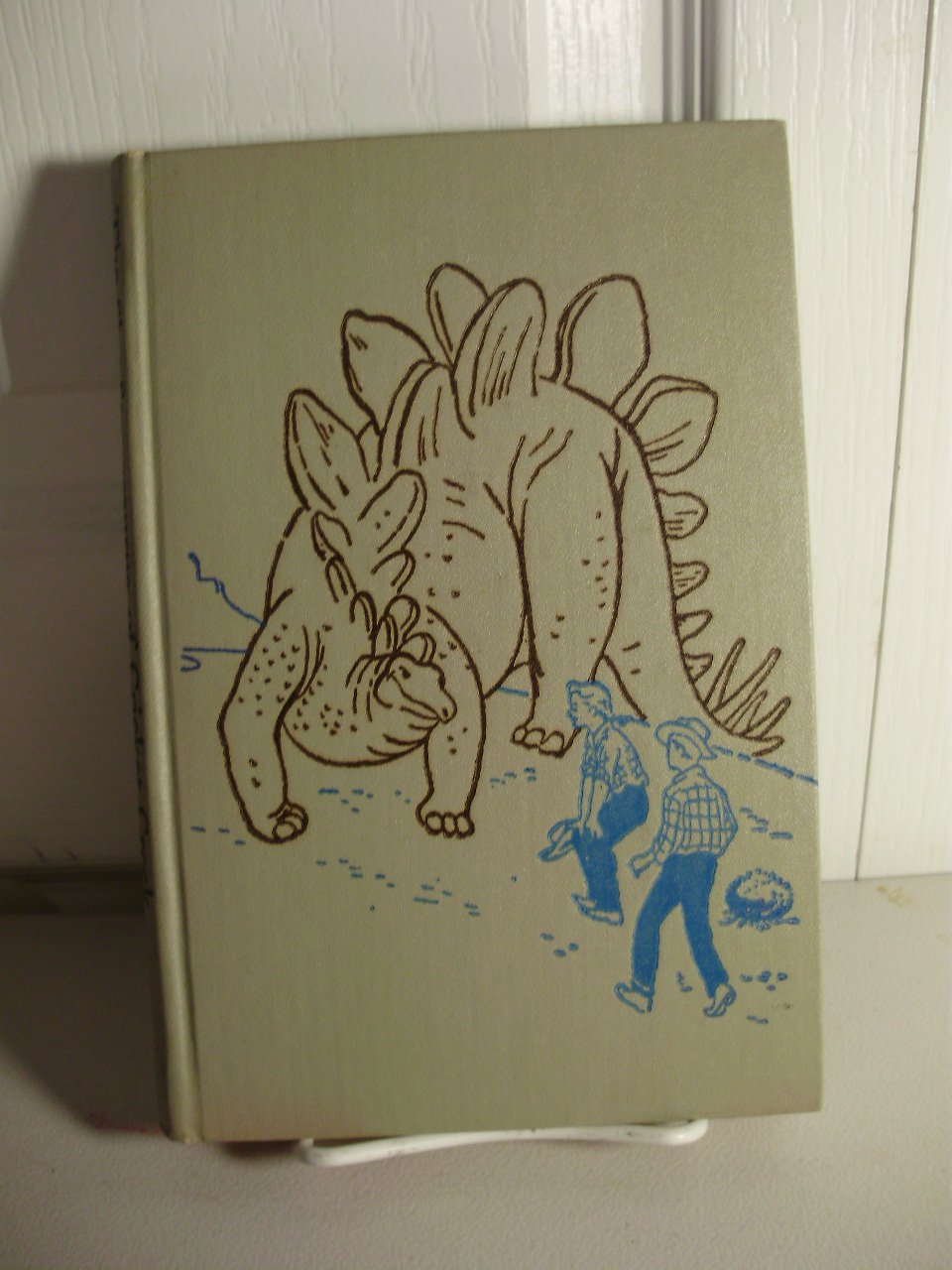 The Shy Stegosaurus of Cricket Creek