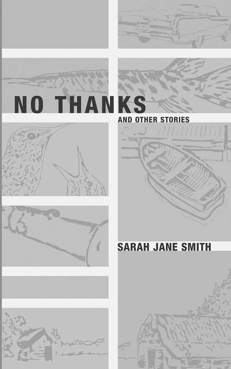No Thanks: And Other Stories (New Issues Poetry & Prose)