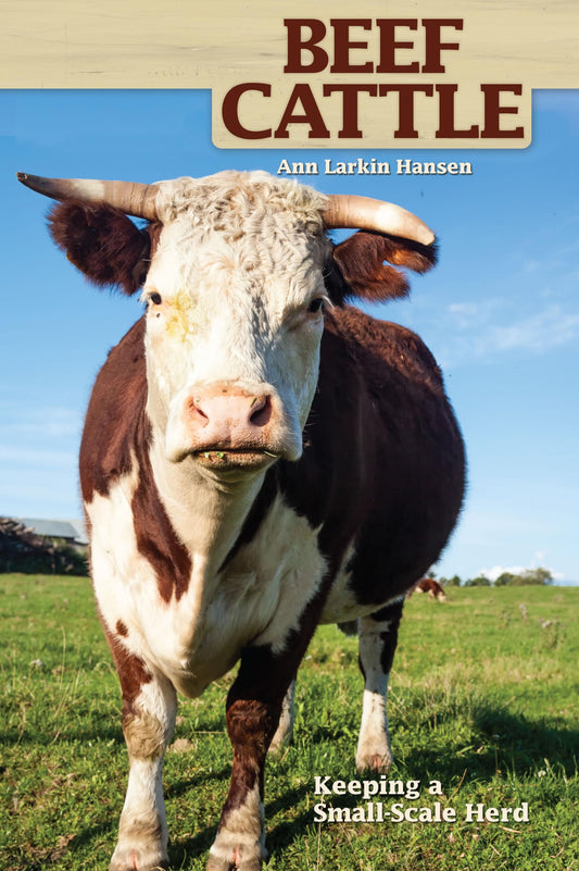 Beef Cattle: Keeping a Small-Scale Herd (CompanionHouse Books) Practical, Easy-to-Follow Beginner's Advice on Purchasing Cows, Fencing, Feeding, Handling, Breeding, Processing, and More (Hobby Farm)