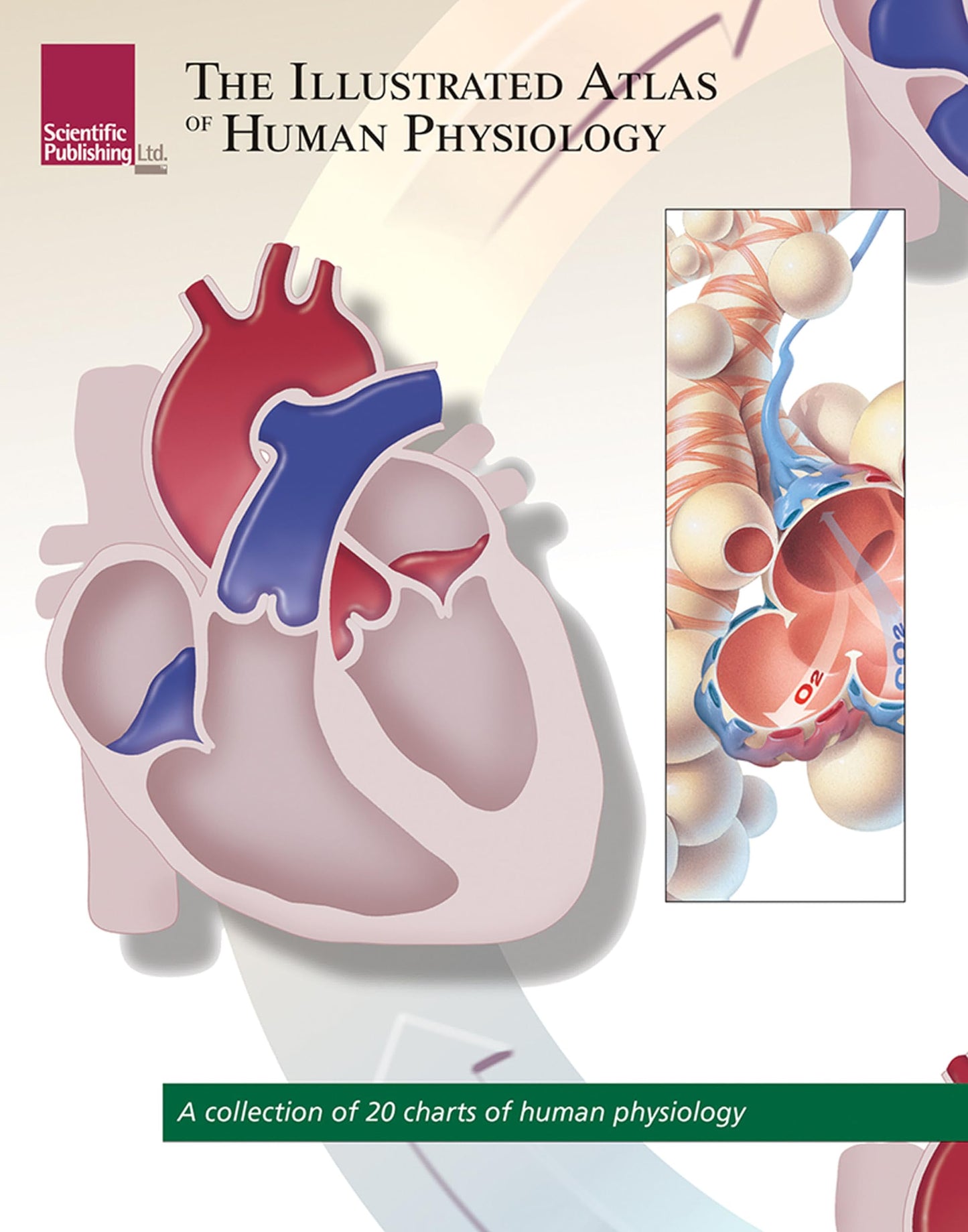 The Illustrated Atlas of Human Physiology