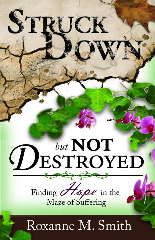 Struck Down; But Not Destroyed: Finding Hope in the Maze of Suffering - 4612