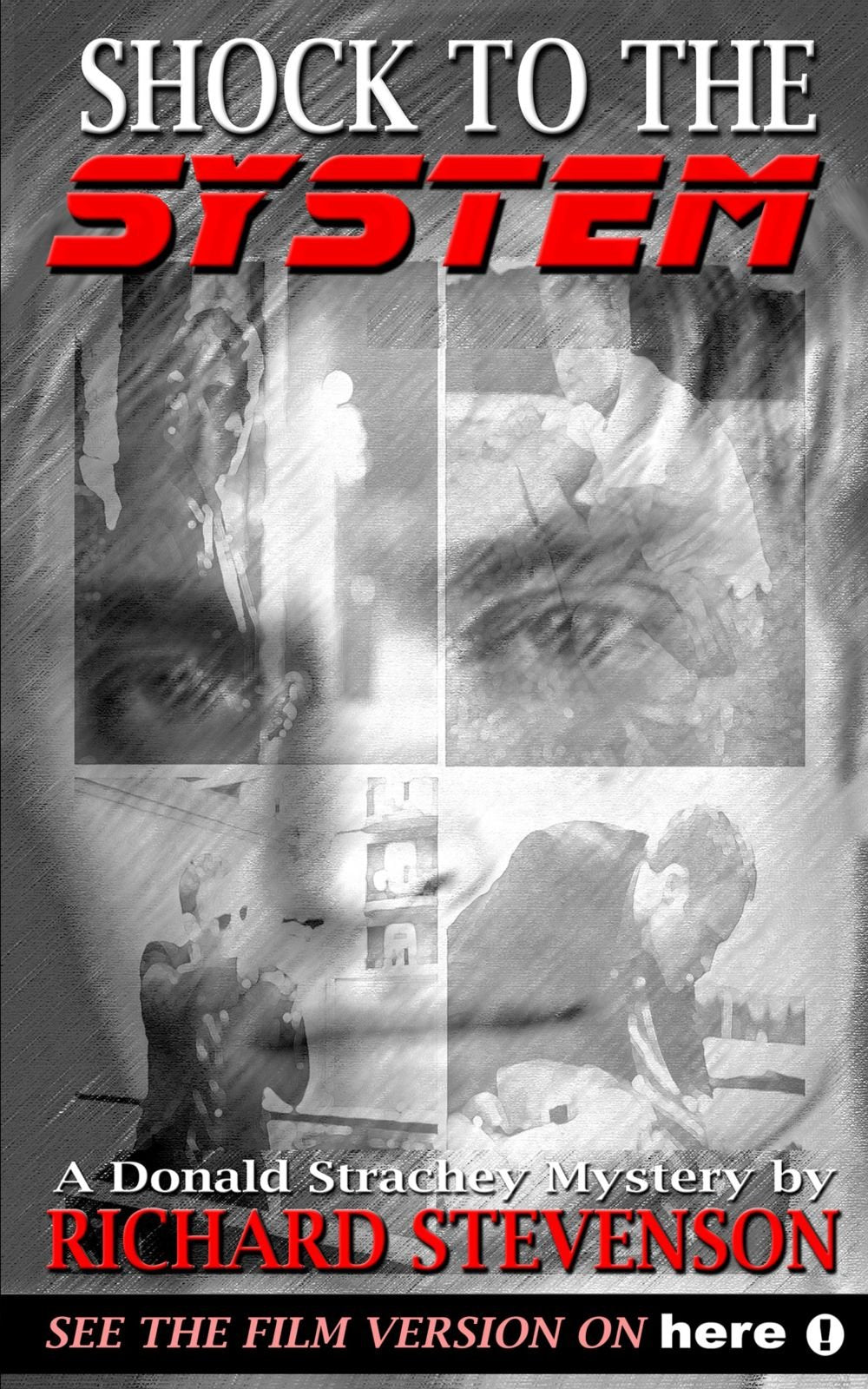 Shock to the System (Donald Strachey Mystery)