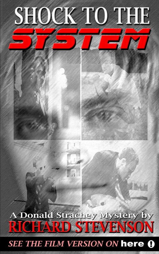 Shock to the System (Donald Strachey Mystery)