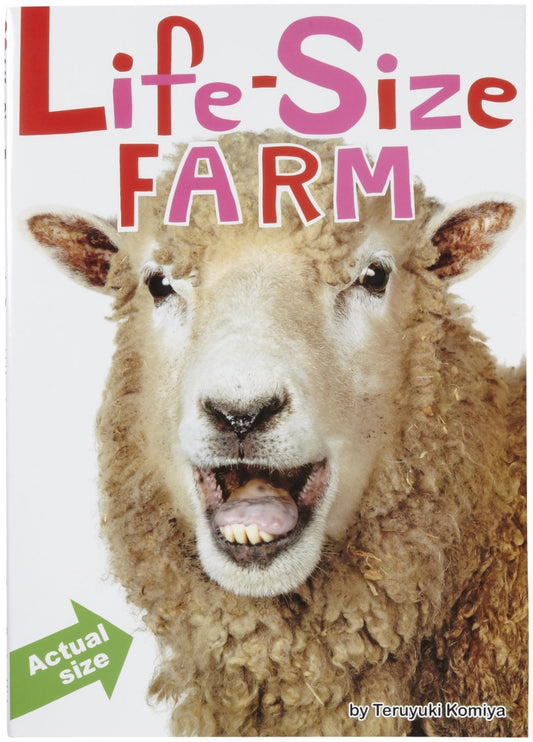 Life-Size Farm