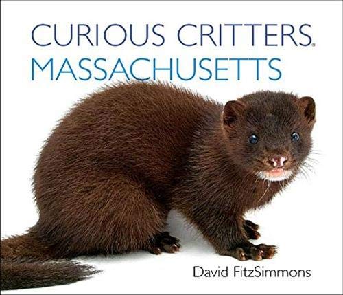 Curious Critters Massachusetts (Curious Critters Board Books)