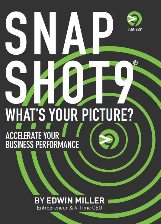 Snapshot9 What's Your Picture?: Accelerate Your Business Performance (9Lenses Bookshelf, Volume 2)