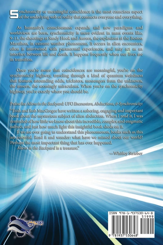 The Synchronicity Highway: Exploring Coincidence, the Paranormal, and Alien Contact - 7187