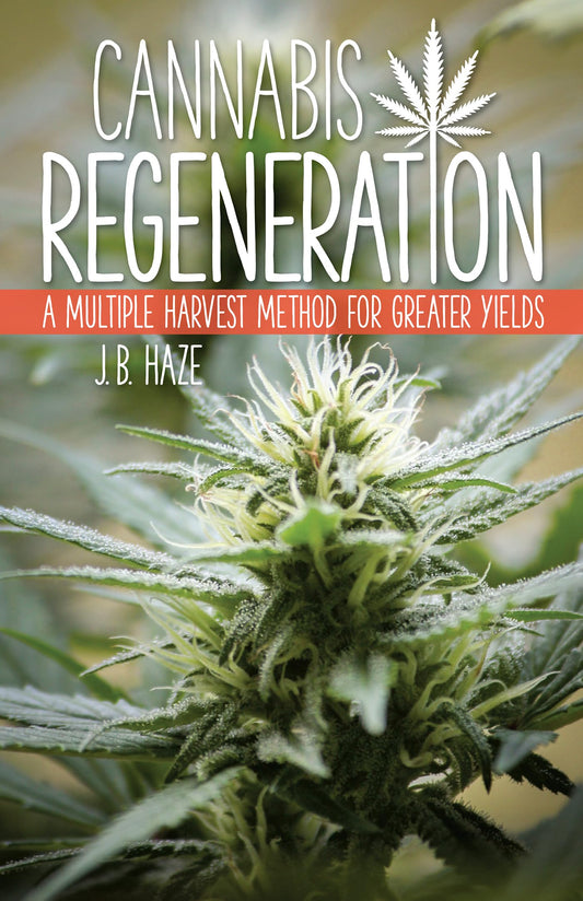 Cannabis Regeneration: A Multiple Harvest Method for Greater Yields - 350