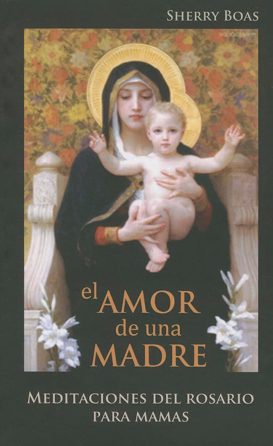 El Amor de Una Madre: Meditaciones del Rosario para Mamas