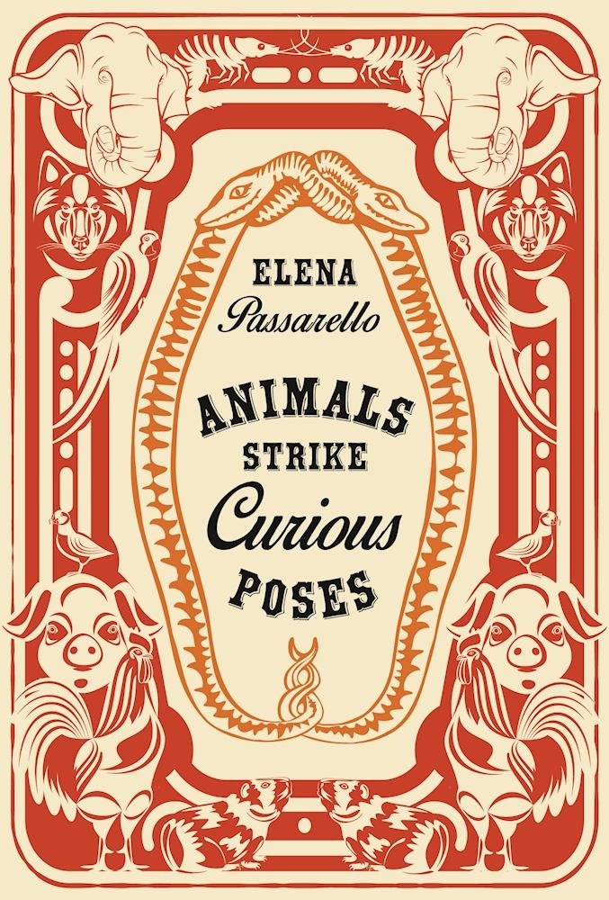 Animals Strike Curious Poses - 4546