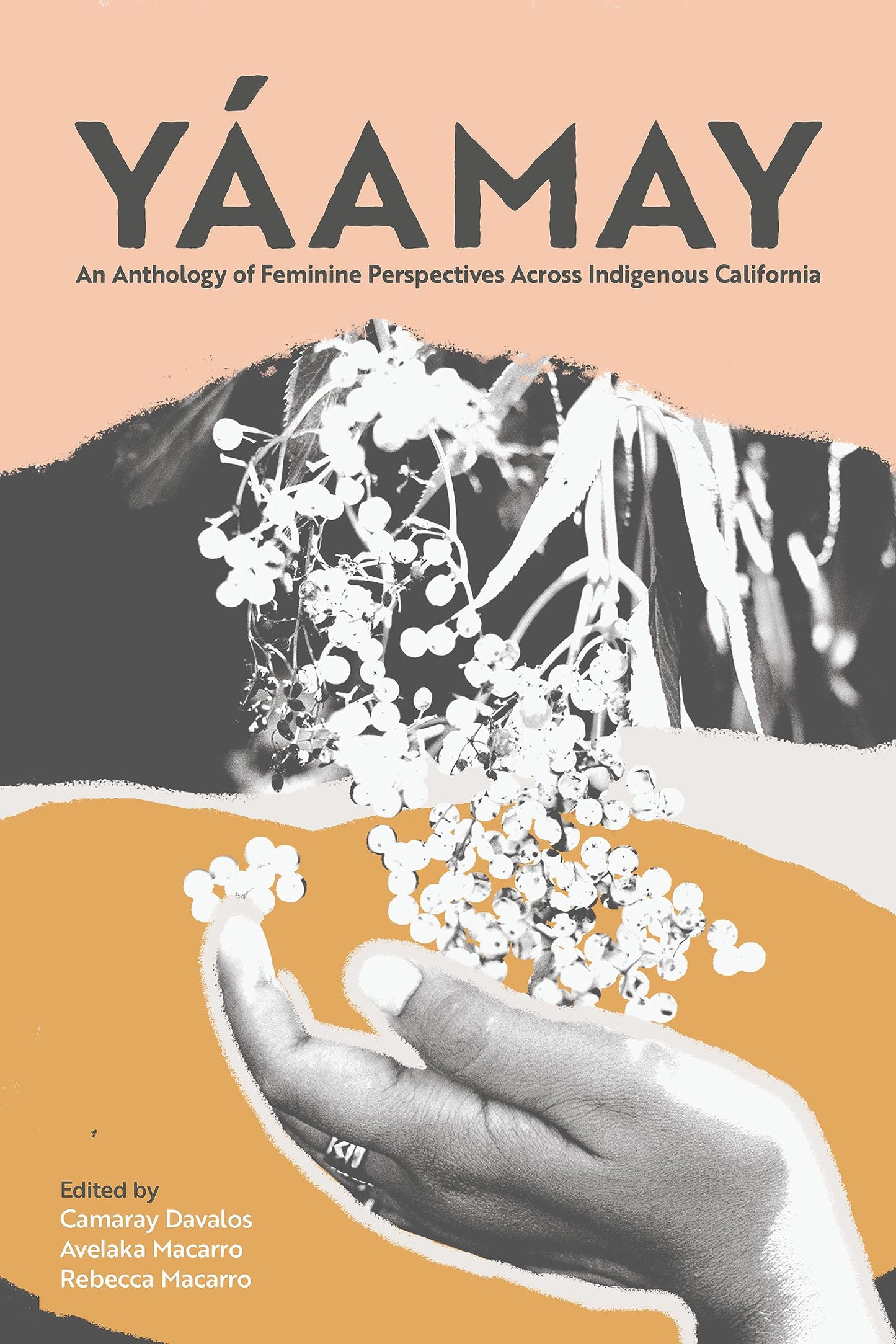 Yáamay : An Anthology of Feminine Perspectives Across Indigenous California
