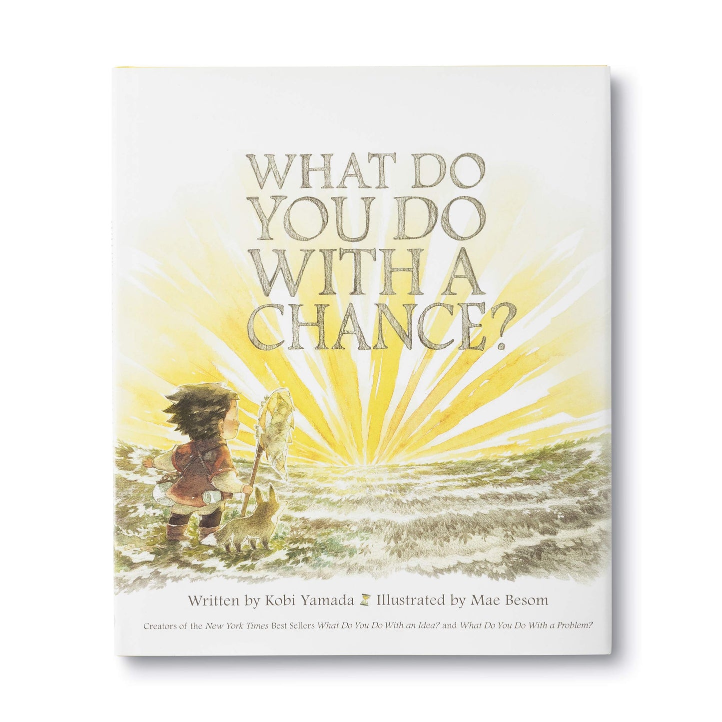 What Do You Do With a Chance? — New York Times best seller - 3637