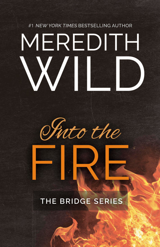 Into the Fire (The Bridge Series)