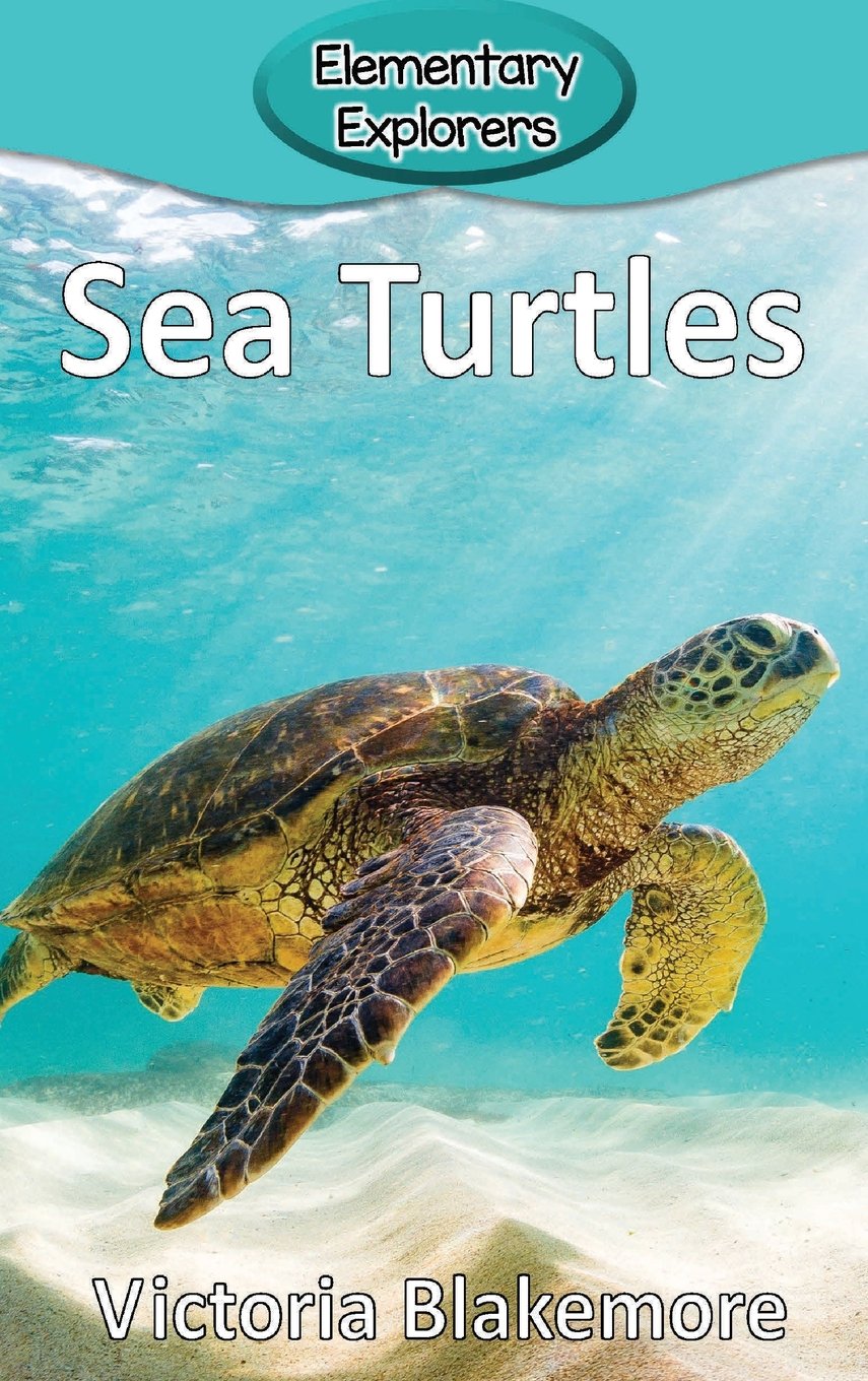 Sea Turtles (Elementary Explorers)