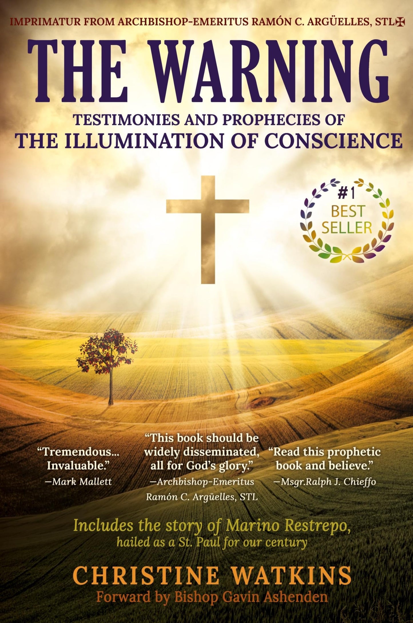 The Warning: Testimonies and Prophecies of the Illumination of Conscience - 5973