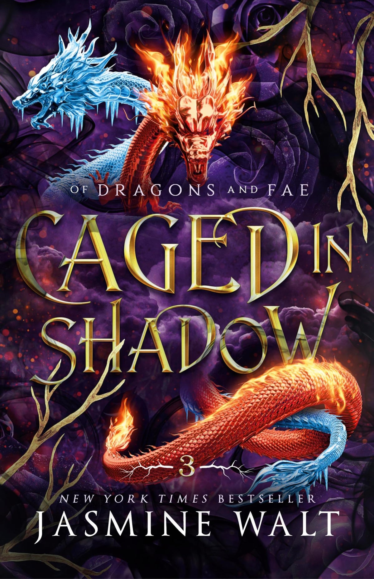 Caged in Shadow