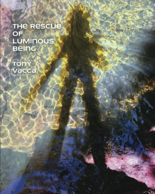 The Rescue of Luminous Being - 9802