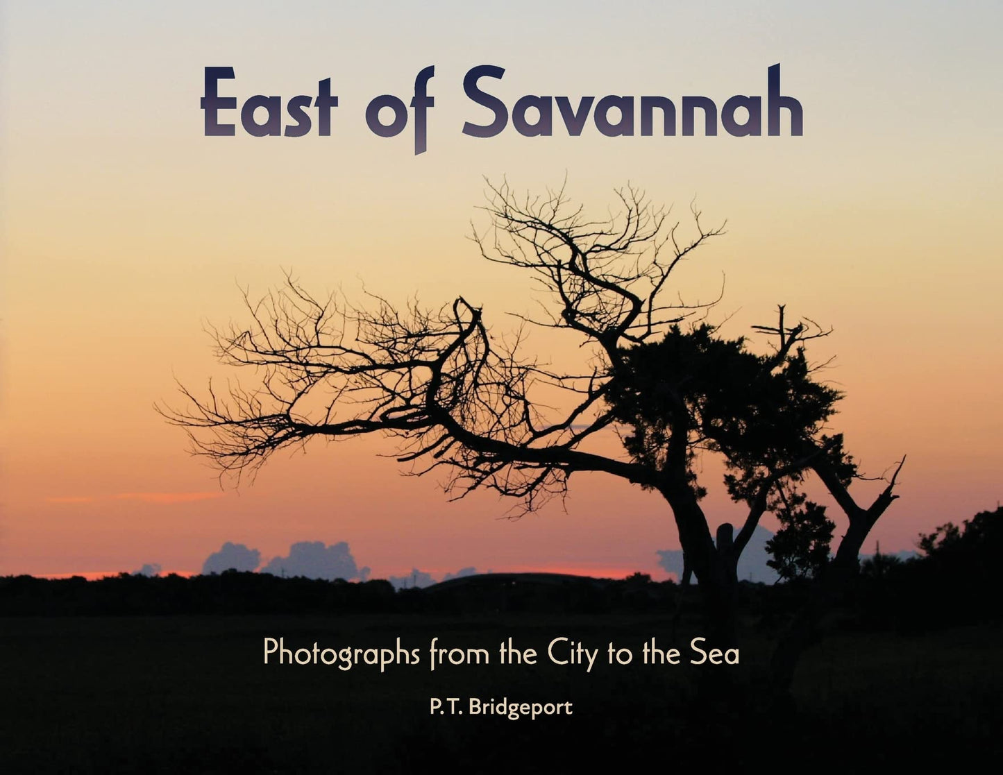 East of Savannah: Photographs from the City to the Sea