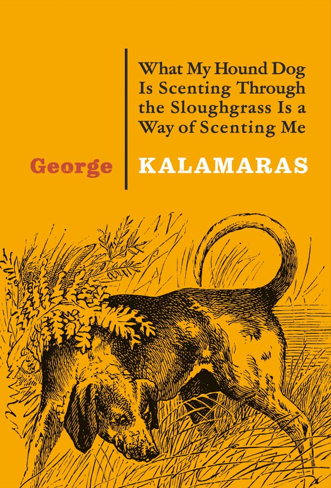 What My Hound Dog Is Scenting Through the Sloughgrass Is a Way of Scenting Me: Poems - 5319