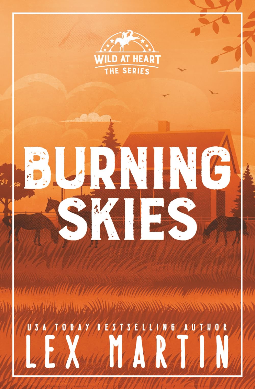 Burning Skies (Wild at Heart: Discreet Cover Editions)