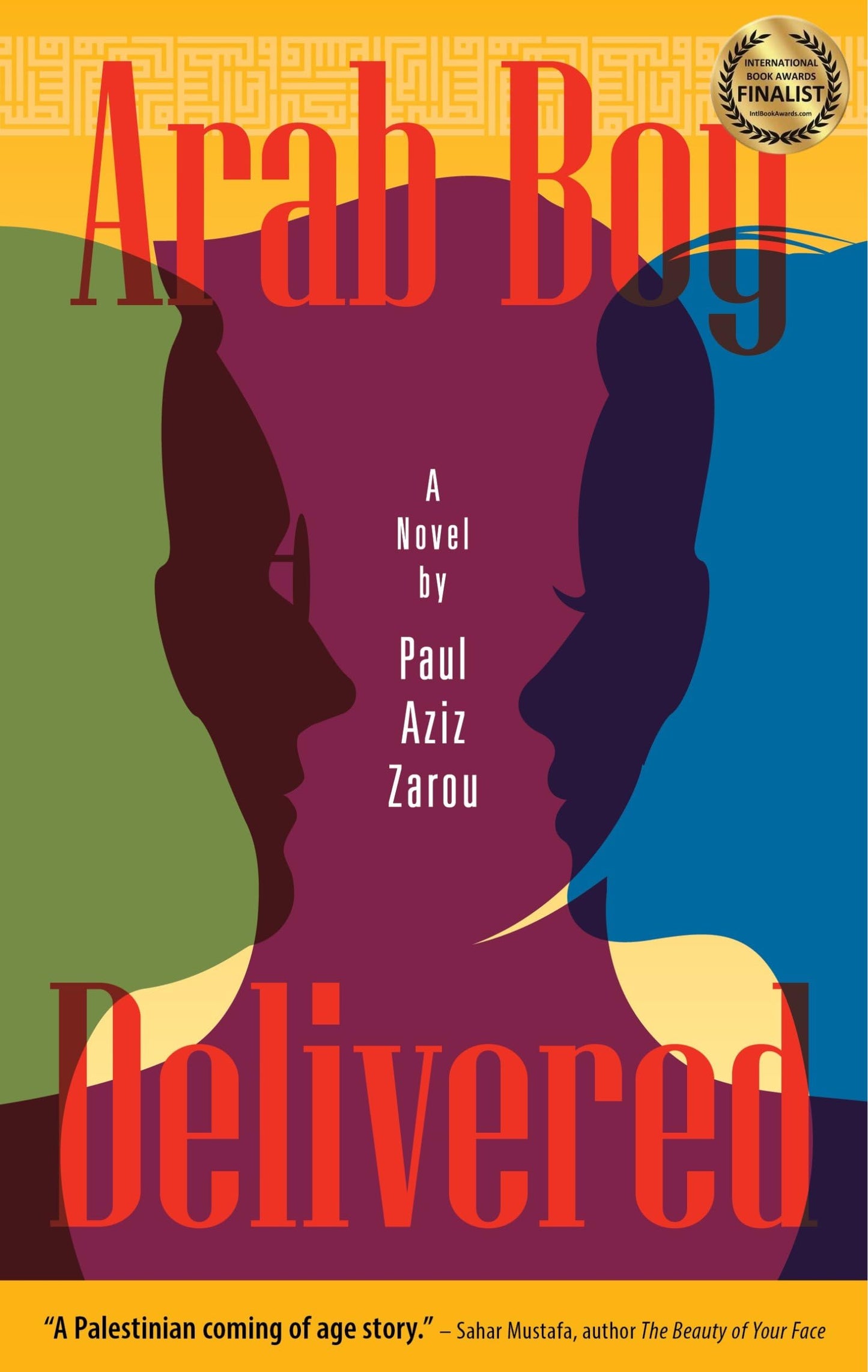 Arab Boy Delivered: A Palestinian-American Comes of Age