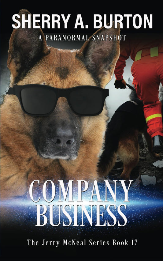 Company Business: Book 17 in The Jerry McNeal Series - 4013
