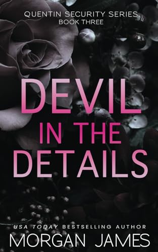 Devil in the Details (Quentin Security Series) - 7858