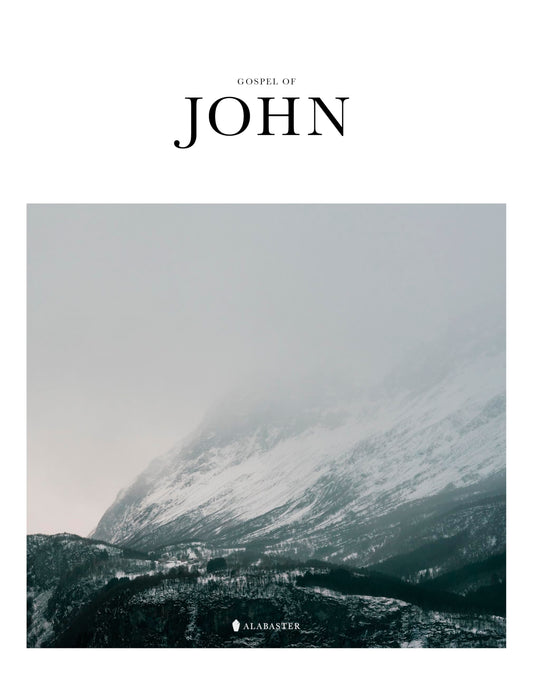 Gospel of John - 4316