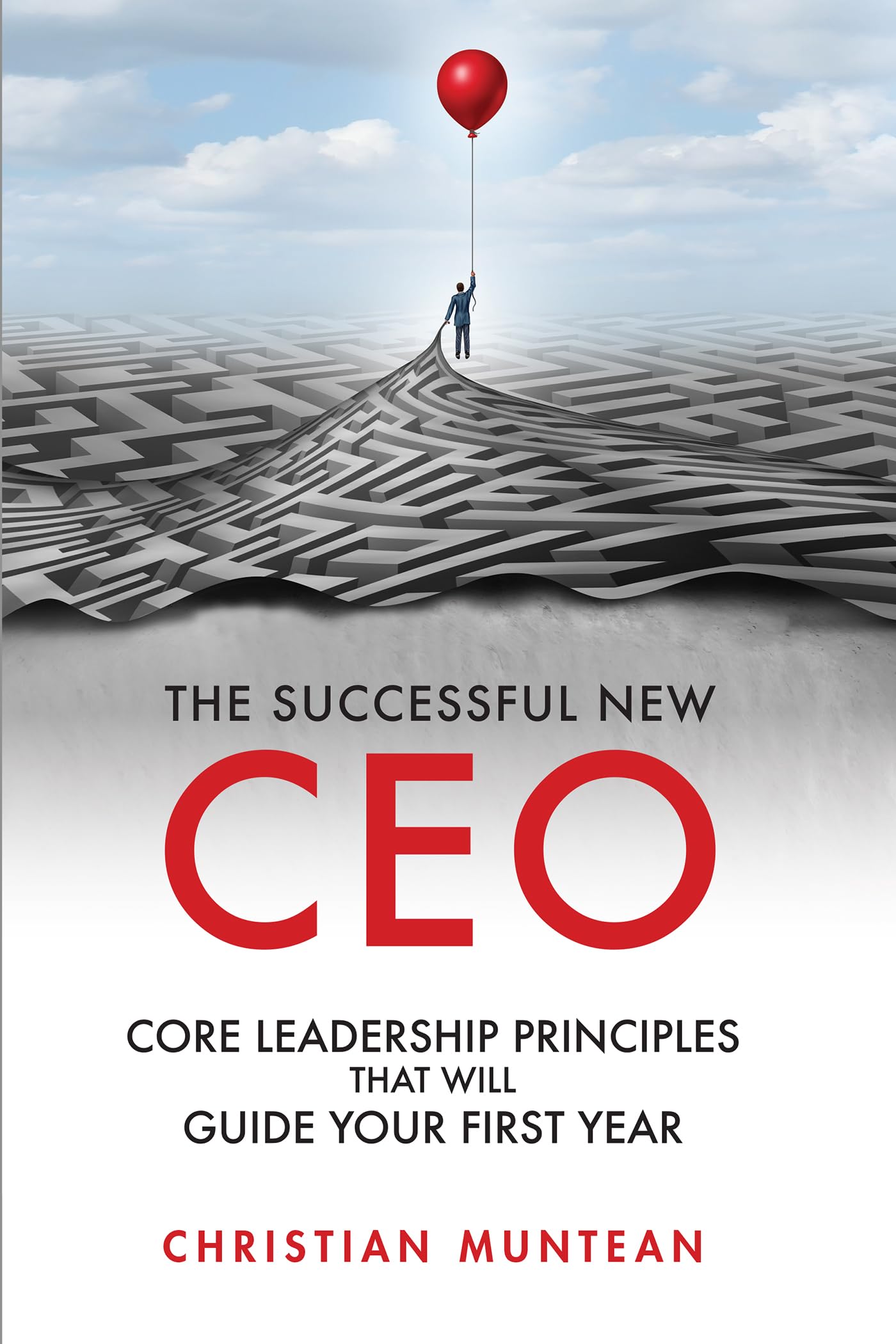The Successful New CEO: The Core Leadership Principles That Will Guide Your First Year (Issn) - 5839