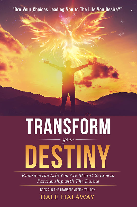 Transform Your Destiny: Embrace the Life You Are Meant to Live in Partnership With the Divine (Transformation Trilogy, 2) - 7993