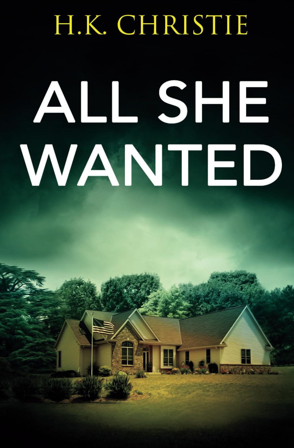 All She Wanted (Martina Monroe Crime Thriller)